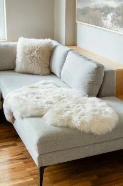 Sheepskin Rug -Trudon shop 330