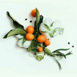 CORPUS - Neroli Natural Deodorant 5 CORPUS - Neroli Natural Deodorant -Trudon shop Neroli2