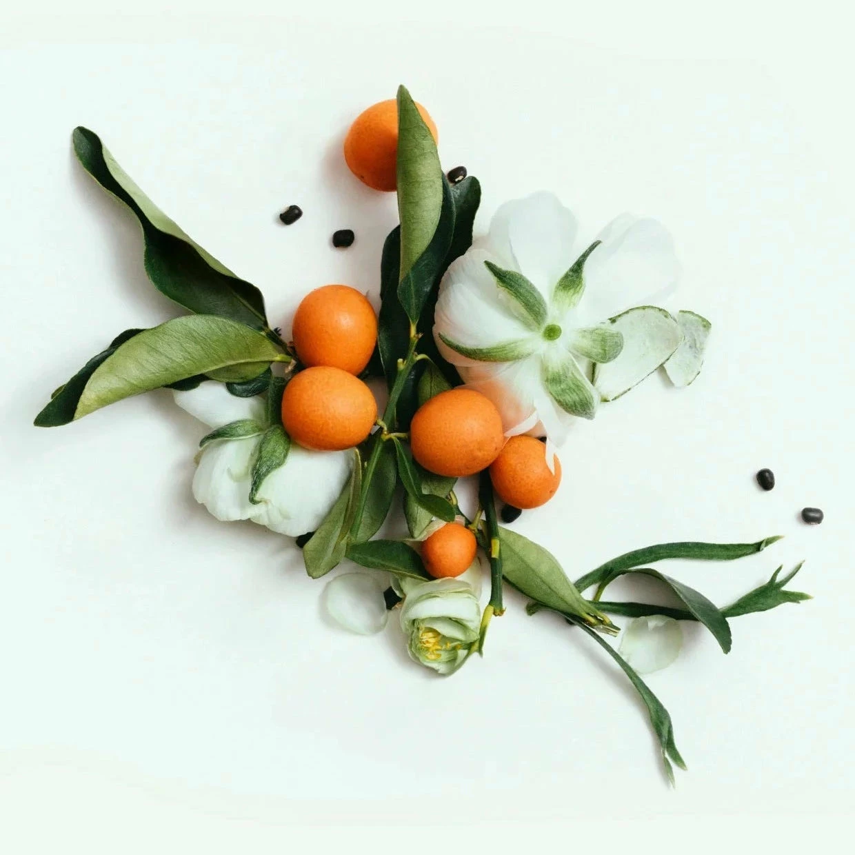 CORPUS - Neroli Natural Deodorant 3 CORPUS - Neroli Natural Deodorant - Image 3