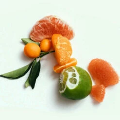 CORPUS - Nº Green Cleansing Bar 5 CORPUS - Nº Green Cleansing Bar -Trudon shop Ngreen3 b3c44d0d dc10 4f85 bb75 11d6ff326c89