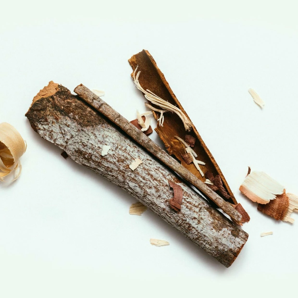 CORPUS - Santalum Body Wash 2 CORPUS - Santalum Body Wash - Image 2