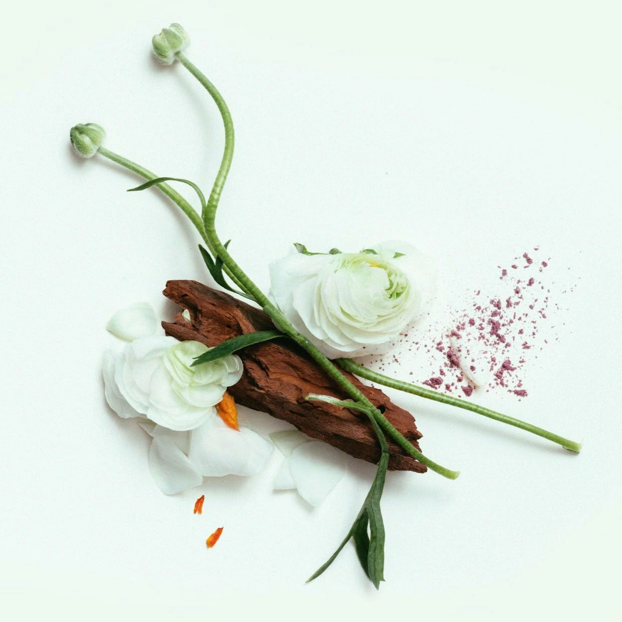 CORPUS - Third Rose Body Wash 2 CORPUS - Third Rose Body Wash - Image 2