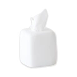 Tina Frey Cast Resin Tissue Box