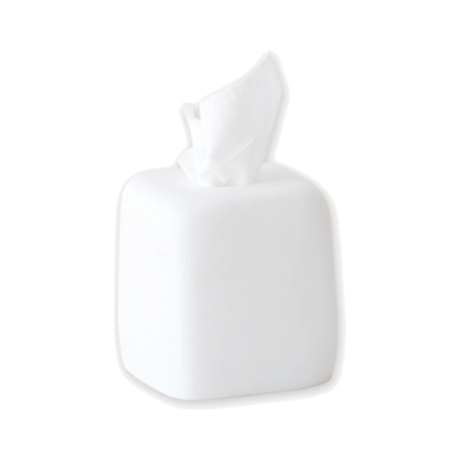 Tina Frey Cast Resin Tissue Box 1 Tina Frey Cast Resin Tissue Box