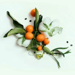 CORPUS - Neroli Cleansing Bar 5 CORPUS - Neroli Cleansing Bar -Trudon shop nerolibar3